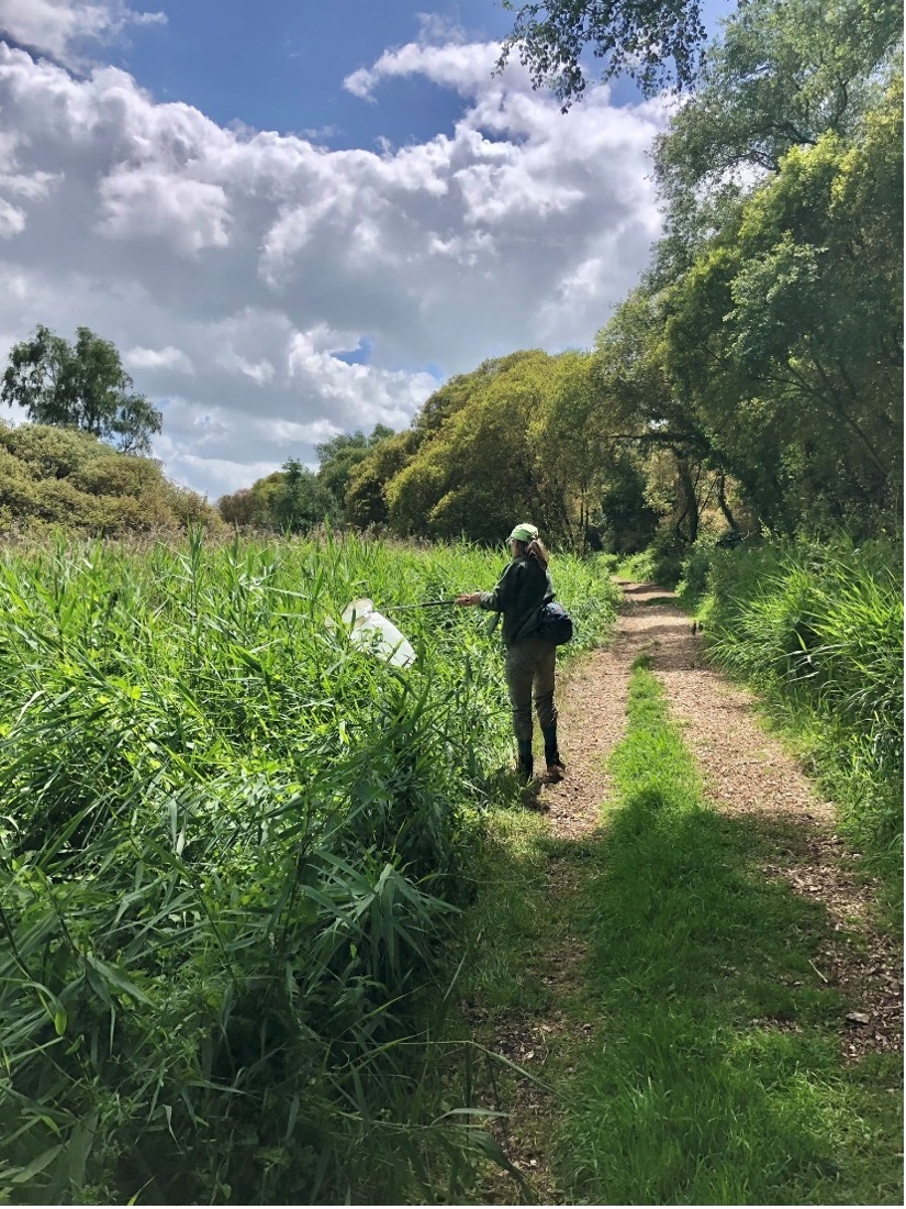 Sampling with nets in the field